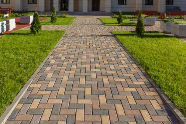 Best Driveway Paving Near Me  in Newbern, TN